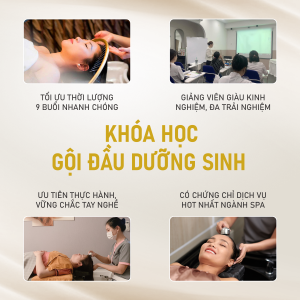 Gội Đầu Dưỡng Sinh