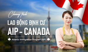 LAO ĐỘNG ĐỊNH CƯ AIP - CANADA